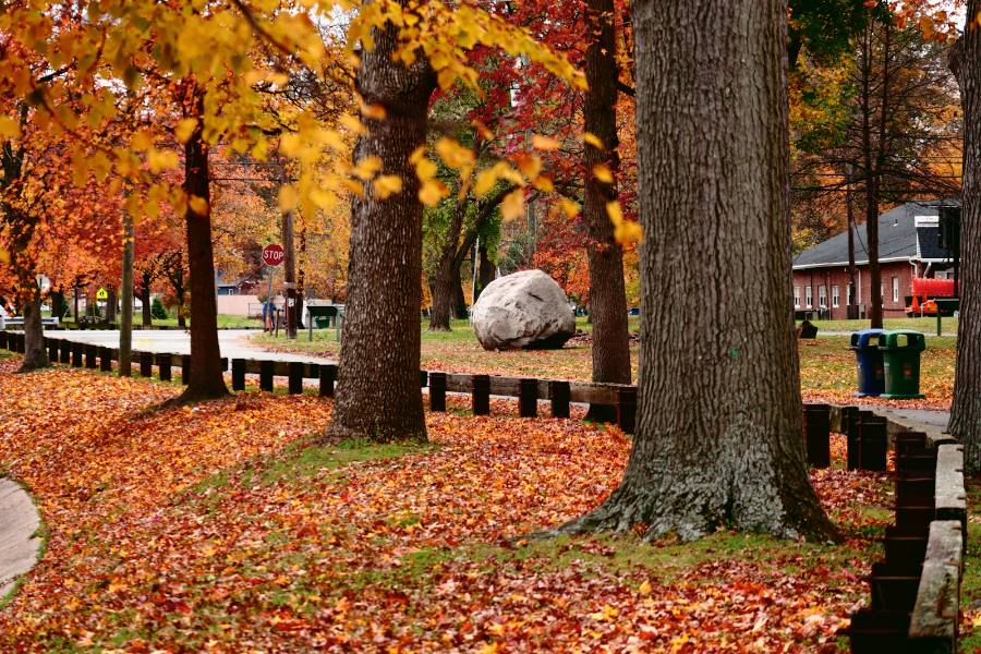 New Jersey